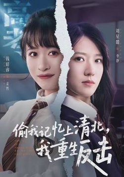 偷我记忆上清北，我重生反击高清播放