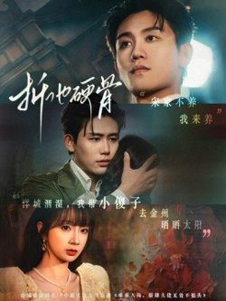 折他硬骨高清播放