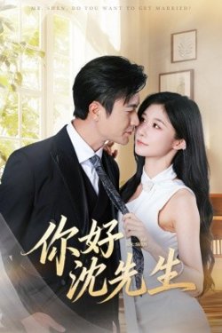 你好沈先生高清播放