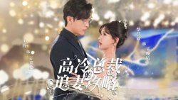 高冷总裁的追妻攻略高清播放