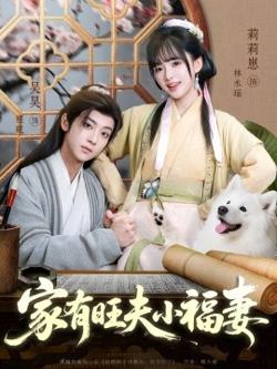 家有旺夫小福妻高清播放