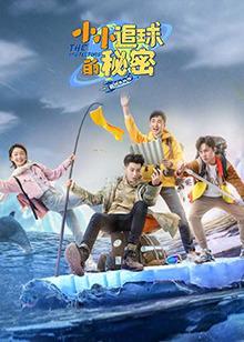 小小追球的秘密高清播放