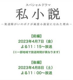 私小说高清播放