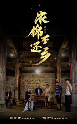 衣锦不还乡高清播放