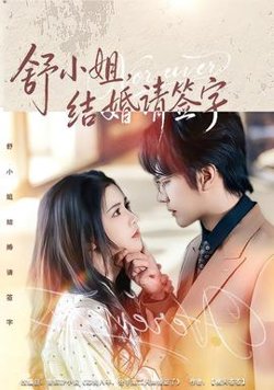 舒小姐，结婚请签字高清播放
