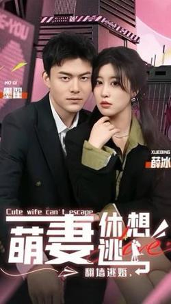 翻墙逃婚，萌妻休想逃高清播放