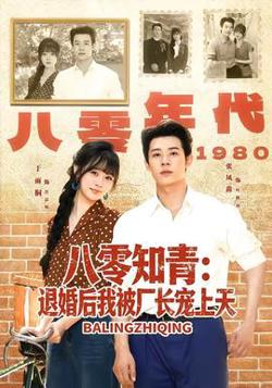 八零知青：退婚后我被厂长宠上天高清播放