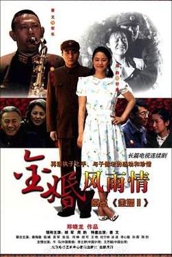 金婚·风雨情高清播放