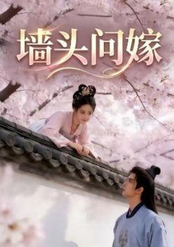 墙头问嫁高清播放