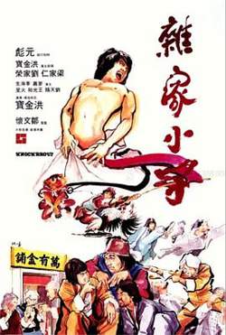 杂家小子高清播放