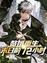赘婿重生末日前72小时高清播放