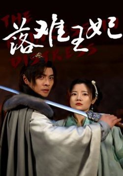 落难王妃高清播放