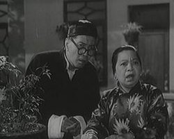 似水流年1962高清播放