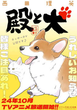 老爷与犬高清播放