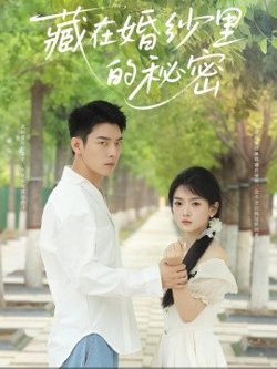 藏在婚纱里的秘密高清播放