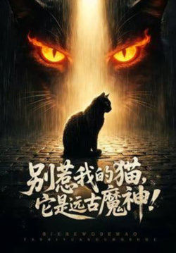 别惹我的猫,它是远古魔神!