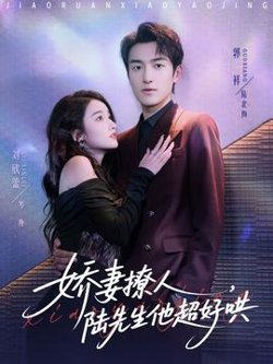 娇妻撩人，陆先生他超好哄高清播放