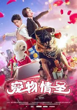 宠物情圣高清播放