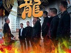 追龙在线观看