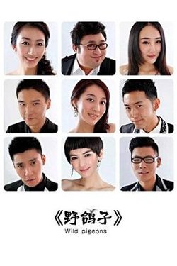 野鸽子高清播放