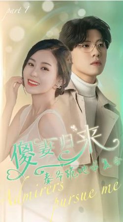 傻妻归来秦爷跪地求复合高清播放