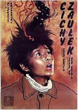 小街高清播放