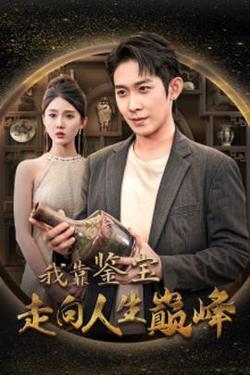 我靠鉴宝走向人生巅峰高清播放