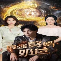 最强赘婿奶爸高清播放