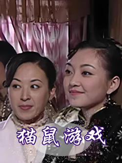 猫鼠游戏 2009高清播放