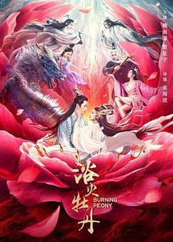 浴火牡丹在线观看