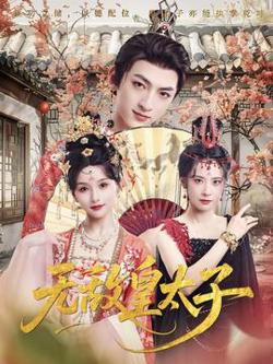 无敌皇太子高清播放