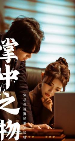 掌中之物：宋总娶娇妻可知错高清播放