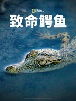 致命鳄鱼在线观看