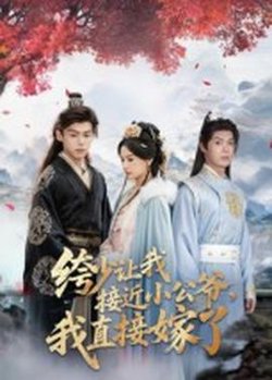 绔少让我接近小公爷,我直接嫁了