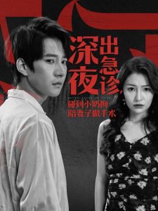深夜出急诊碰到小奶狗陪妻子做手术在线观看