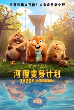 河狸变身计划（普通话版）高清播放