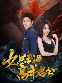 女总裁的高手老公高清播放