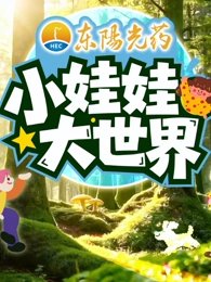 小娃娃大世界在线观看