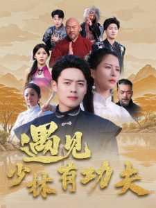 遇见少林有功夫在线观看