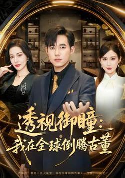透视御瞳：我在全球倒腾古董高清播放