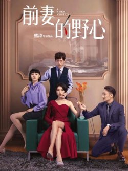 前妻的野心高清播放