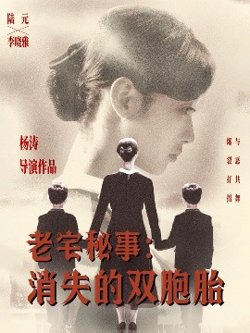 老宅秘事消失的双胞胎＆消失的孩子在线观看