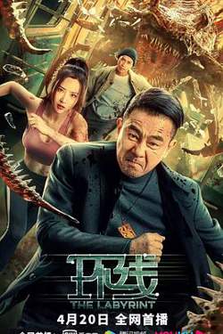 环线在线观看
