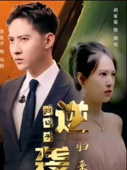 逆袭刘公子归来高清播放