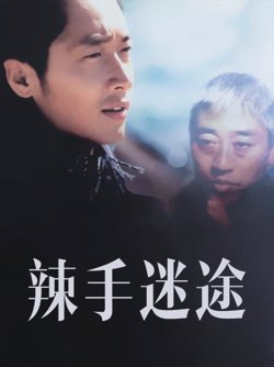 辣手迷途在线观看