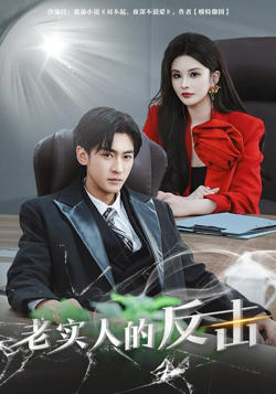 老实人的反击高清播放