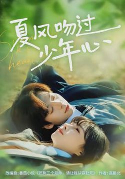 夏风吻过少年心在线观看