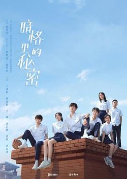 暗格里的秘密高清播放