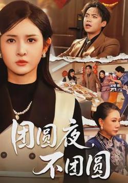 团圆夜，不团圆在线观看