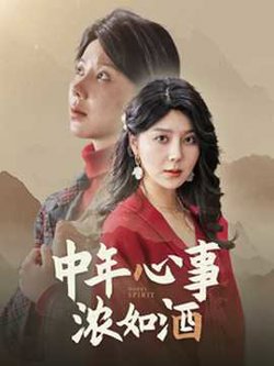 中年心事浓如酒高清播放